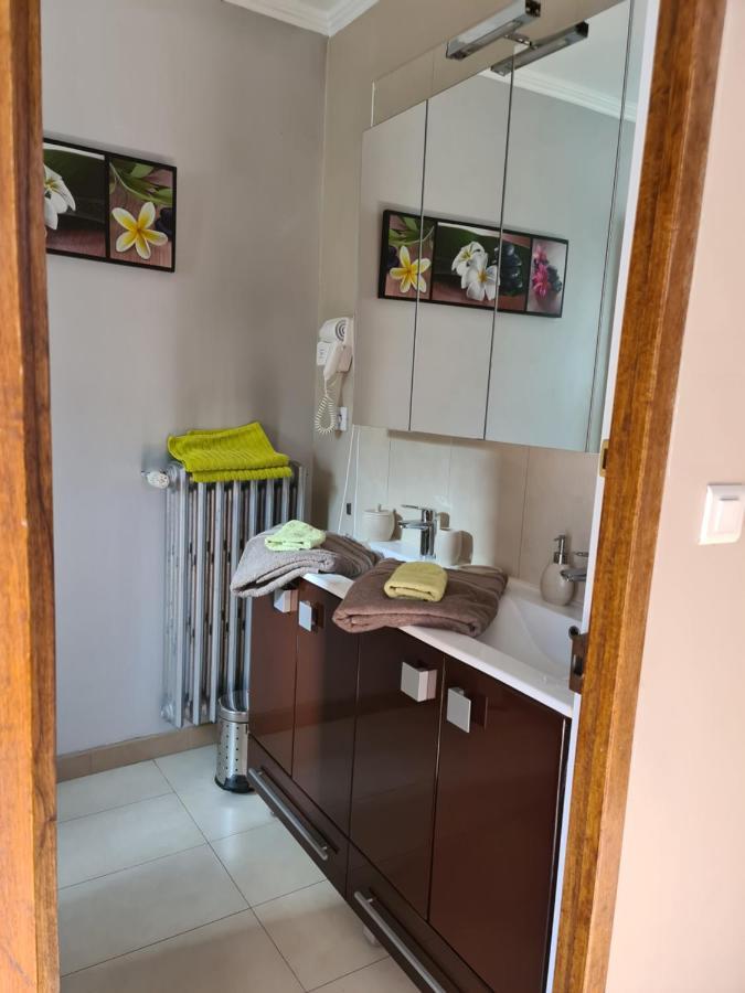 Appartements Dans Villa Privee Avec Piscine, Jardin, Parking Clos, Wifi, Climatisation 梅瑞尔 外观 照片