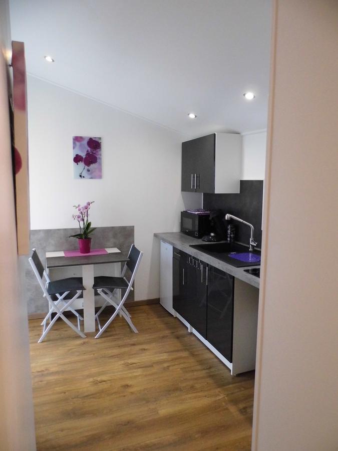 Appartements Dans Villa Privee Avec Piscine, Jardin, Parking Clos, Wifi, Climatisation 梅瑞尔 外观 照片