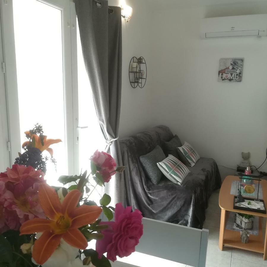 Appartements Dans Villa Privee Avec Piscine, Jardin, Parking Clos, Wifi, Climatisation 梅瑞尔 外观 照片