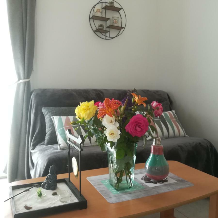 Appartements Dans Villa Privee Avec Piscine, Jardin, Parking Clos, Wifi, Climatisation 梅瑞尔 外观 照片
